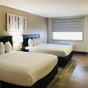 Two Queen Size Beds